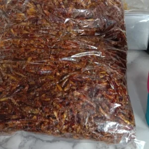 Belalang Goreng 1Kg